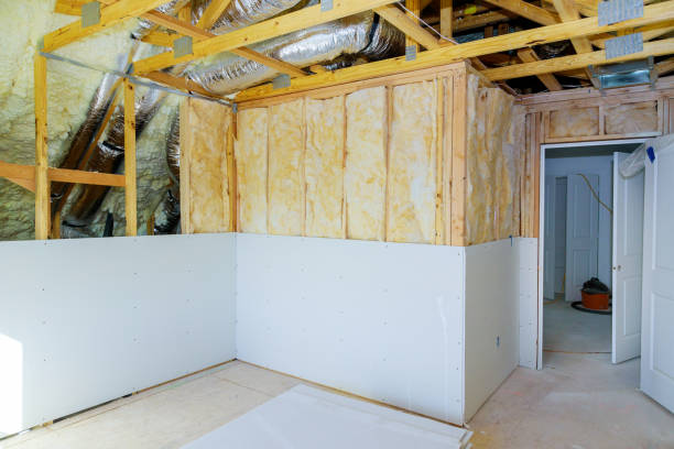 Best Eco-Friendly Insulation in Willmar, MN