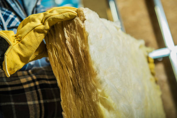 Best Cellulose Insulation in Willmar, MN